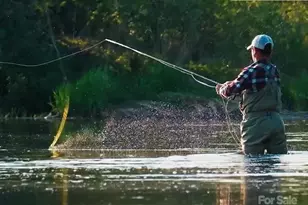 180 Eagle Vlg Cir, Banner Elk, NC 28604 - Photo 47