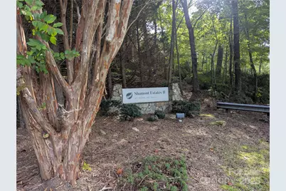 110 Lakewood Drive, Lake Lure, NC 28746 - Photo 43