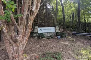 110 Lakewood Dr, Lake Lure, NC 28746 - Photo 43