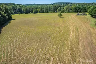 133 Pheasant Ln, Columbus, NC 28722 - Photo 15