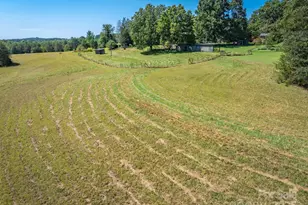 133 Pheasant Ln, Columbus, NC 28722 - Photo 13