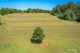 133 Pheasant Ln, Columbus, NC 28722 - Photo 17