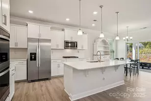 160 Saidin Ln, Troutman, NC 28166 - Photo 13