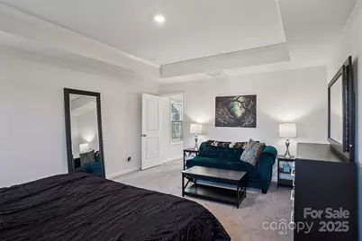 160 Saidin Lane, Troutman, NC 28166 - Photo 29