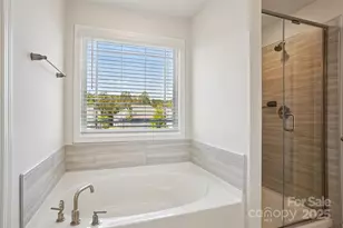 160 Saidin Ln, Troutman, NC 28166 - Photo 33