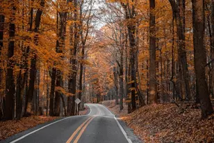 21 Byrd Ln, Brevard, NC 28712 - Photo 21