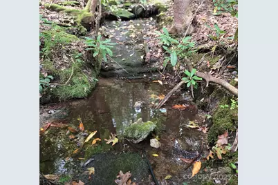 557 Country Club Estates Drive, Sapphire, NC 28774 - Photo 33