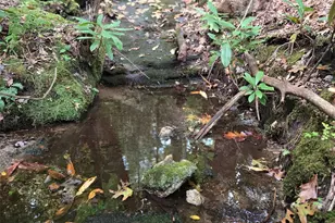 557 Country Clb Ests Dr, Sapphire, NC 28774 - Photo 33