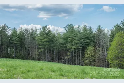 Lot 43 Winghaven Drive, Nebo, NC 28761 - Photo 25