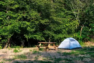 43 Polly Spout Rd, Marion, NC 28752 - Photo 29