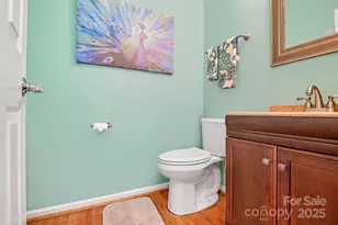 115 Haddington Pl, Mooresville, NC 28115 - Photo 13