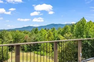 2435 Deep Gap Farm Rd E, Mill Spring, NC 28756 - Photo 23