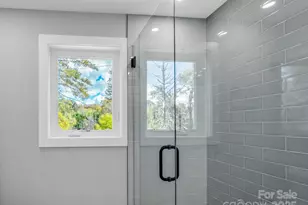 3 Pinnacle Vw Rd, Asheville, NC 28803 - Photo 19