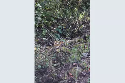 362 Cagle Cove, Sylva, NC 28779 - Photo 45