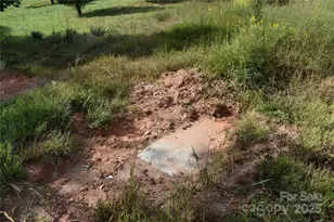 91 Sweetgum Dr, Nebo, NC 28761 - Photo 45