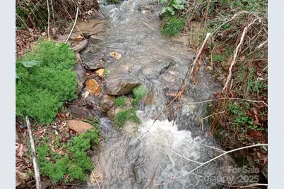 155 Old Starnes Cove Road, Asheville, NC 28806 - Photo 25