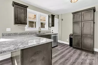 14 Mineral Springs Road, Asheville, NC 28805 - Photo 9