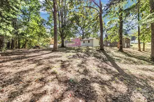 14 Mineral Springs Rd, Asheville, NC 28805 - Photo 33