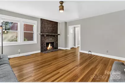 14 Mineral Springs Road, Asheville, NC 28805 - Photo 7