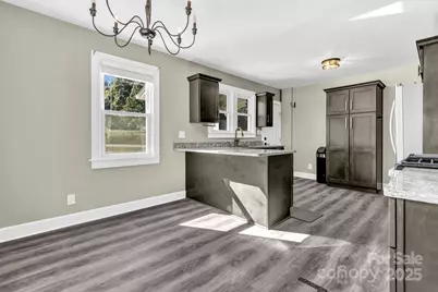 14 Mineral Springs Road, Asheville, NC 28805 - Photo 13