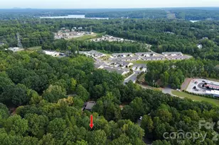 16 Woodvine Ln, Clover, SC 29710 - Photo 45