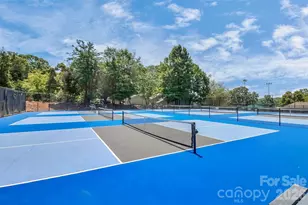 16 Woodvine Ln, Clover, SC 29710 - Photo 47