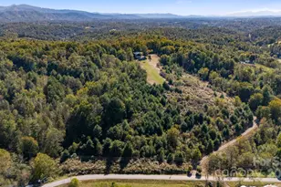 1387 Woods Ammons Rd, Mars Hill, NC 28754 - Photo 41