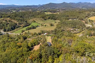 1387 Woods Ammons Rd, Mars Hill, NC 28754 - Photo 45