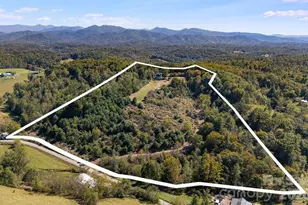 1387 Woods Ammons Rd, Mars Hill, NC 28754 - Photo 45
