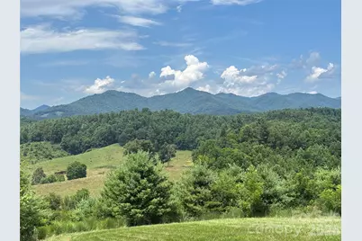 1387 Woods Ammons Road, Mars Hill, NC 28754 - Photo 3