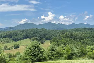 1387 Woods Ammons Rd, Mars Hill, NC 28754 - Photo 3