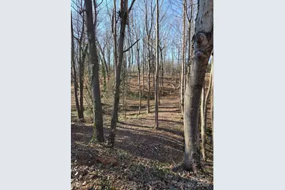 000 Spring Valley Lane, Statesville, NC 28677 - Photo 3