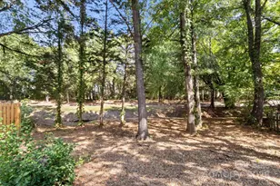 13309 Lampmeade Ln, Charlotte, NC 28273 - Photo 29