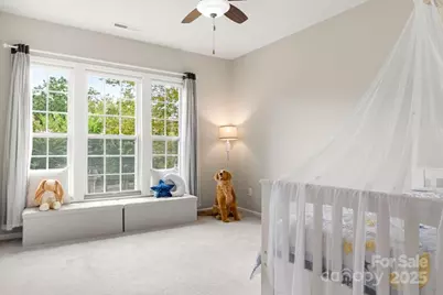 49135 Gladiolus Street, Indian Land, SC 29707 - Photo 21