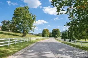 31 Bradford Vistas Dr, Fletcher, NC 28732 - Photo 45