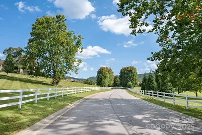 31 Bradford Vistas Drive, Fletcher, NC 28732 - Photo 45