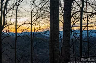 116 Hawk Rdg, Asheville, NC 28804 - Photo 3