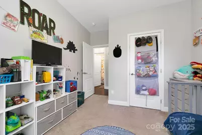 326 Little Ridge Drive, Penrose, NC 28766 - Photo 25