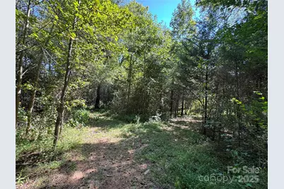 5963 Peniel Road, Tryon, NC 28782 - Photo 19