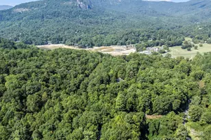 123 Mountain Village Blvd, Lake Lure, NC 28746 - Photo 31