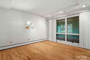 25 Ray Mine Rd, Burnsville, NC 28714 - Photo 21