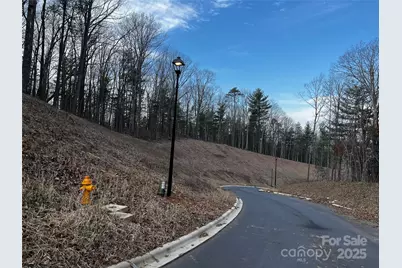 105 Woodland Meadows Drive #Tract A & B, Asheville, NC 28803 - Photo 3