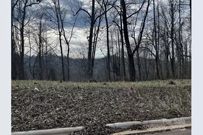 105 Woodland Meadows Drive #Tract A & B, Asheville, NC 28803 - Photo 5