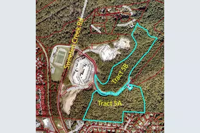 105 Woodland Meadows Drive #Tract A & B, Asheville, NC 28803 - Photo 1