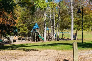 23 Myrtle Lee Cv, Arden, NC 28704 - Photo 43