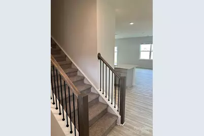 14518 Winged Teal Road, Charlotte, NC 28278 - Photo 3