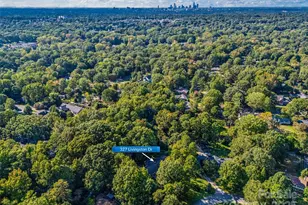 327 Livingston Dr, Charlotte, NC 28211 - Photo 19