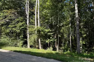 302 Didio Cir, Mooresville, NC 28115 - Photo 1