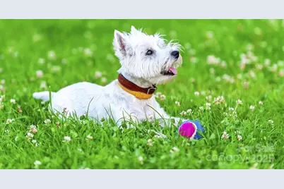 10236 Florentine Way, Charlotte, NC 28214 - Photo 23