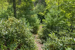 147 Dye Leaf Rd, Fairview, NC 28730 - Photo 29